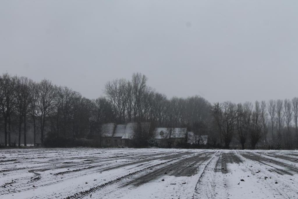 Dielpenhof Villa Zedelgem Esterno foto